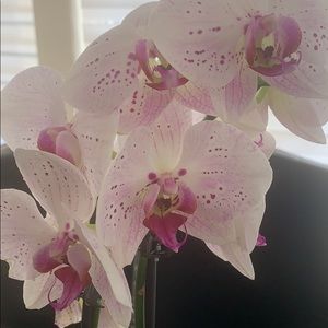 Meet your Posher, Hao